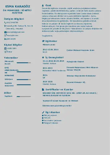 Yönetici Asistanı Cv Örnekleri cv indir